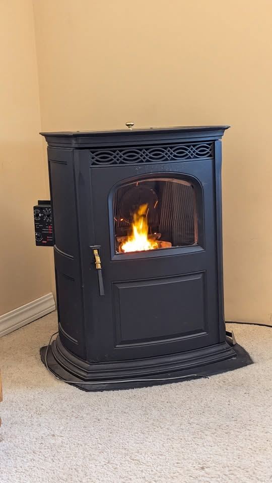 Freestanding cast-iron stove burning in the corner of a carpeted room